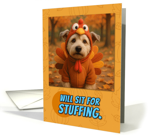 Glen of Imaal Terrier Dog in Turkey Suit Thanksgiving... (1942850)