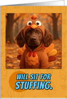 Boykin Spaniel Dog in Turkey Suit Thanksgiving Autumn Forest card