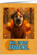 Anatolian Shepherd Dog in Turkey Suit Thanksgiving Autumn Forest card