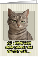 Silver Grey Tabby Cat Humorous Getting Older Birthday card