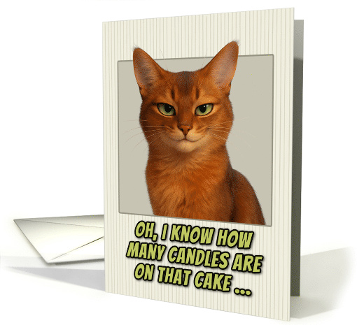 Somali Cat Humorous Getting Older Birthday card (1943966)