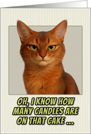 Somali Cat Humorous Getting Older Birthday card