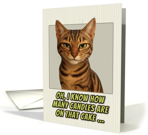 Sokoke Cat Humorous Getting Older Birthday card (1943968)