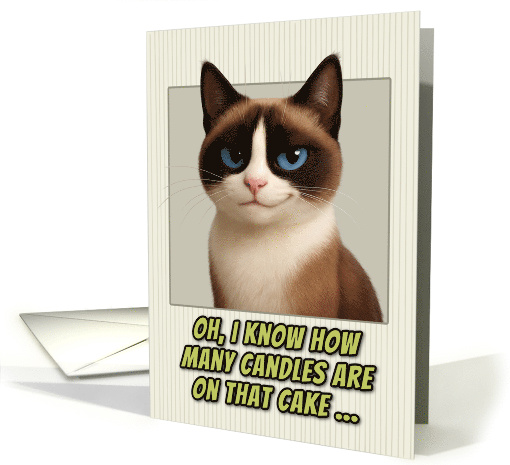 Snowshoe Cat Humorous Getting Older Birthday card (1943970)