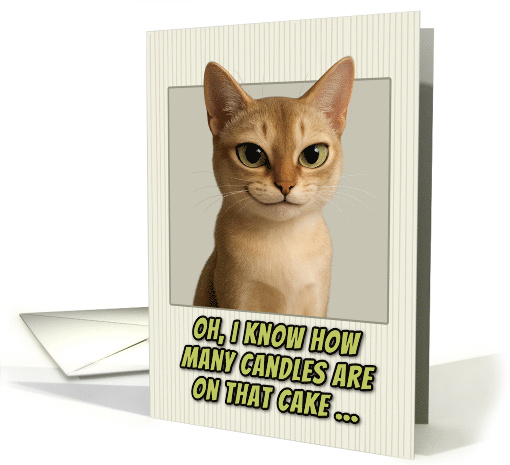 Singapura Cat Humorous Getting Older Birthday card (1943974)