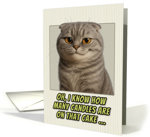 Scottish Fold Cat Humorous Getting Older Birthday card (1944118)
