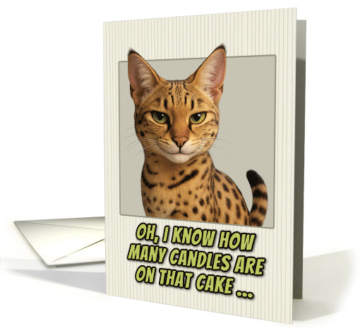 Savannah Cat Humorous Getting Older Birthday card (1944120)