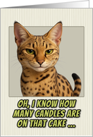 Savannah Cat Humorous Getting Older Birthday card