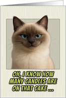 Ragdoll Cat Humorous Getting Older Birthday card