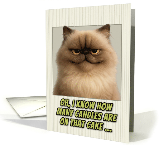 Persian Cat Humorous Getting Older Birthday card (1944134)