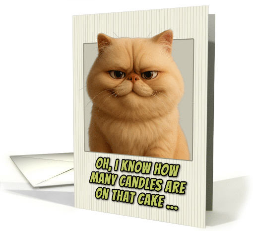 Persian Cat Humorous Getting Older Birthday card (1944136)