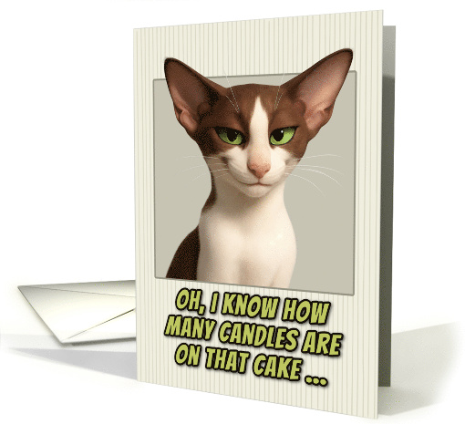 Oriental Shorthair Cat Humorous Getting Older Birthday card (1944140)