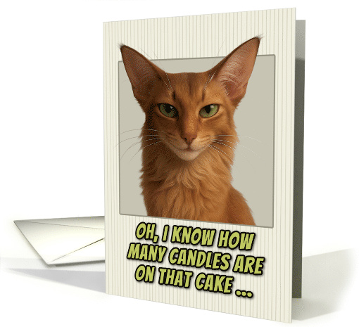 Oriental Longhair Cat Humorous Getting Older Birthday card (1944142)