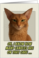 Oriental Longhair Cat Humorous Getting Older Birthday card