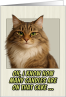 Norwegian Forest Cat Humorous Getting Older Birthday card