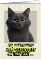 Nebelung Cat Humorous Getting Older Birthday card