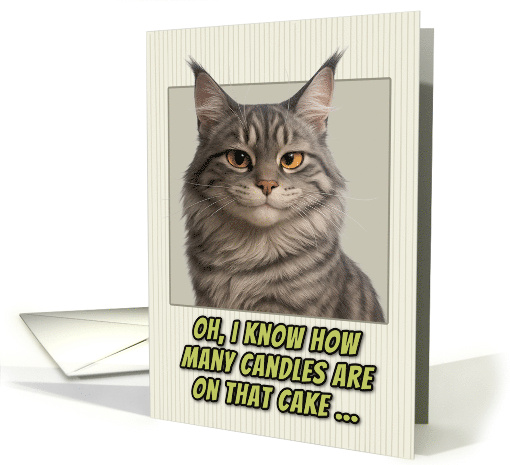 Maine Coon Cat Humorous Getting Older Birthday card (1944152)