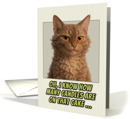 LaPerm Cat Humorous Getting Older Birthday card (1944158)