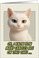 Khao Manee Cat Humorous Getting Older Birthday card