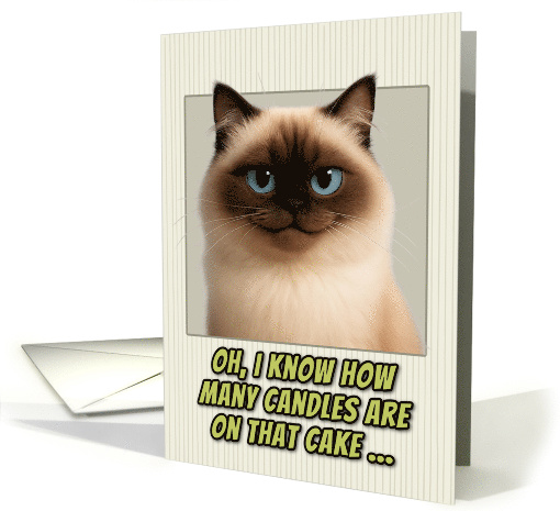 Himalayan Cat Humorous Getting Older Birthday card (1944168)