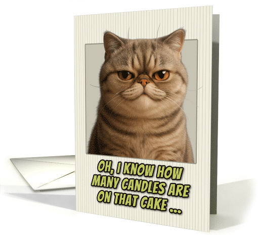 Exotic Shorthair Cat Humorous Getting Older Birthday card (1944186)