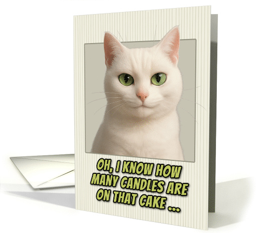 White Cat Humorous Getting Older Birthday card (1944190)