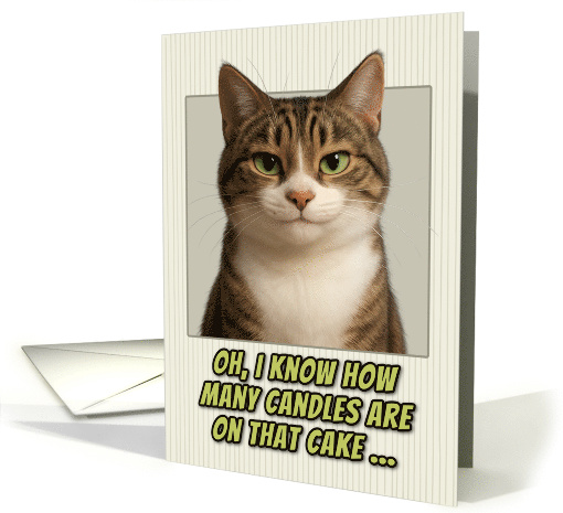 Tabby and White Cat Humorous Getting Older Birthday card (1944356)