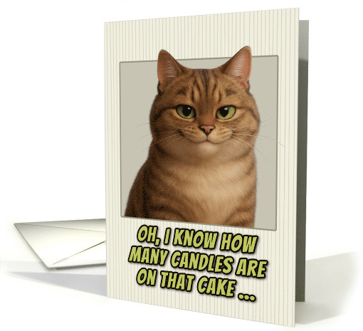 Cymric Cat Humorous Getting Older Birthday card (1944374)