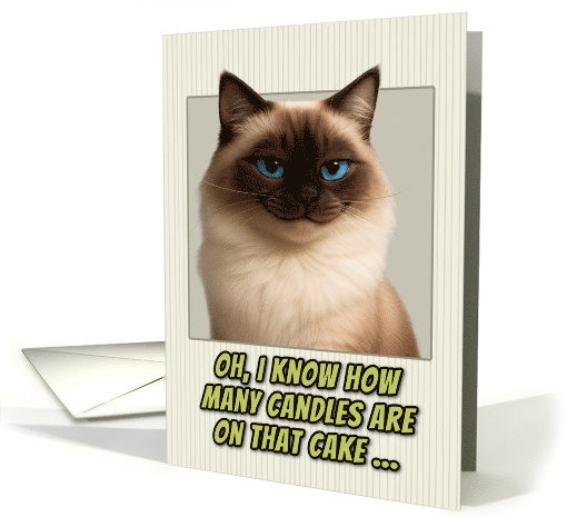Colorpoint Siberian Cat Humorous Getting Older Birthday card (1944376)