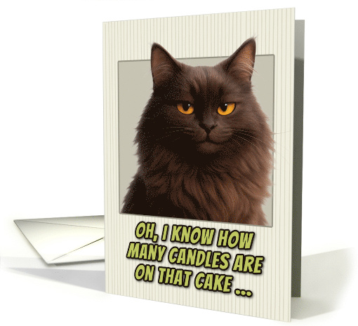 Chantilly Tiffany Cat Humorous Getting Older Birthday card (1944384)