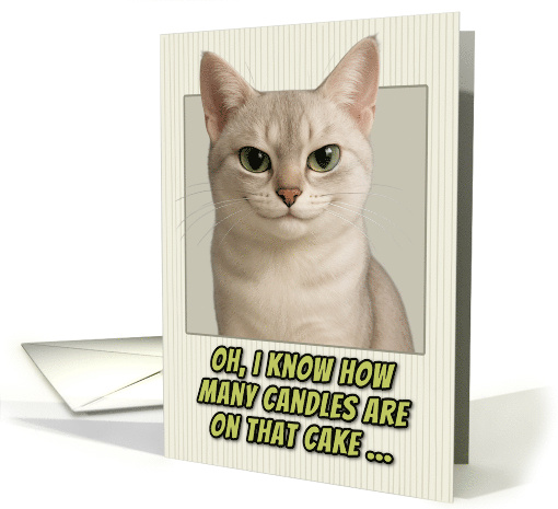 Burmilla Cat Humorous Getting Older Birthday card (1944390)