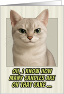 Burmilla Cat Humorous Getting Older Birthday card