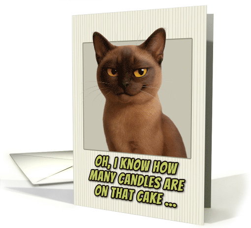 Burmese Cat Humorous Getting Older Birthday card (1944392)