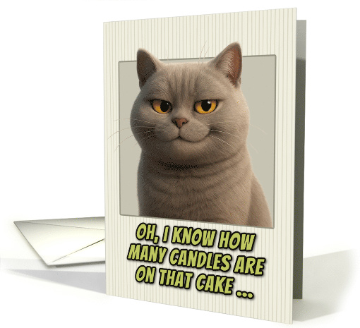 British Shorthair Cat Humorous Getting Older Birthday card (1944394)