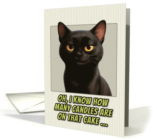 Bombay Cat Humorous Getting Older Birthday card (1944398)