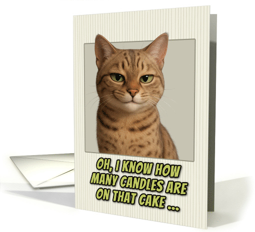 Australian Mist Cat Humorous Getting Older Birthday card (1944408)