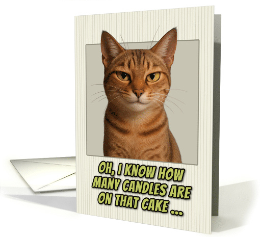 Arabian Mau Cat Humorous Getting Older Birthday card (1944410)