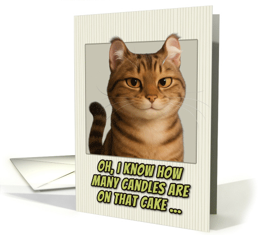 American Curl Cat Humorous Getting Older Birthday card (1944414)