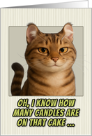 American Curl Cat Humorous Getting Older Birthday card