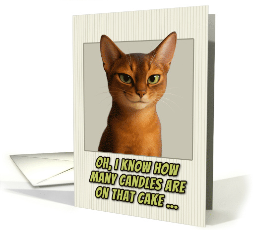 Abyssinian Cat Humorous Getting Older Birthday card (1944416)