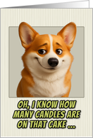 Welsh Corgi Pembroke Dog Humorous Getting Older Birthday card