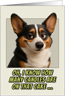 Welsh Corgi Cardigan Dog Humorous Getting Older Birthday card