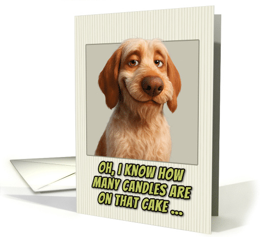 Spinone Italiano Dog Humorous Getting Older Birthday card (1945364)
