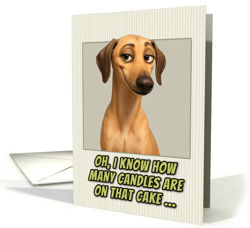 Sloughi Dog Humorous Getting Older Birthday card (1945366)