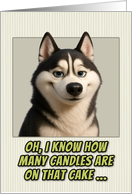 Siberian Husky Dog Humorous Getting Older Birthday card