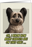 Skye Terrier Dog Humorous Getting Older Birthday card