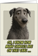 Scottish Deerhound Humorous Getting Older Birthday card