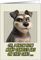 Schnauzer Dog Humorous Getting Older Birthday card