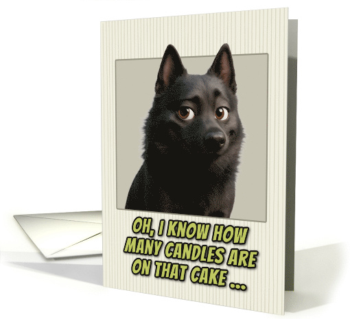 Schipperke Dog Humorous Getting Older Birthday card (1945504)