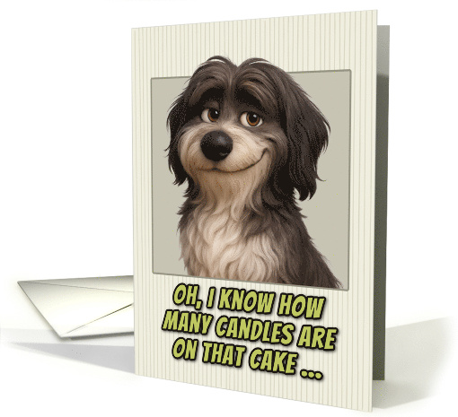 Schapendoes Dog Humorous Getting Older Birthday card (1945700)